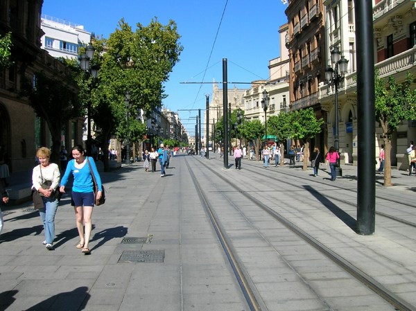 Avenue pitonne Sville Espagne